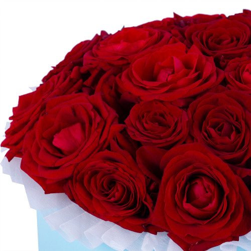 Букет из 21 красной розы premium в голубой шляпной коробке