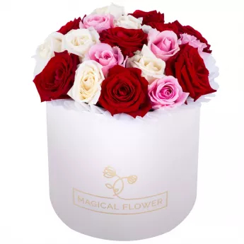 Букет из 19 разноцветных роз premium в кремовой шляпной коробке