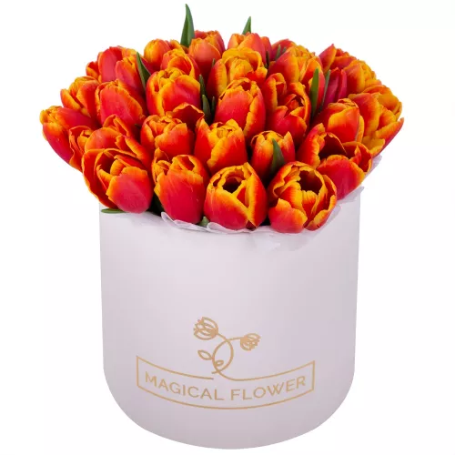 35 огненных тюльпан в кремовой шляпной коробке