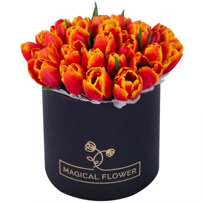 35 огненных тюльпан в черной шляпной коробке