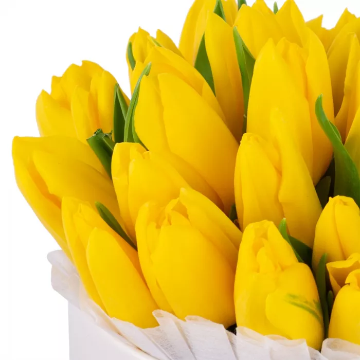 35 желтых тюльпан в кремовой шляпной коробке