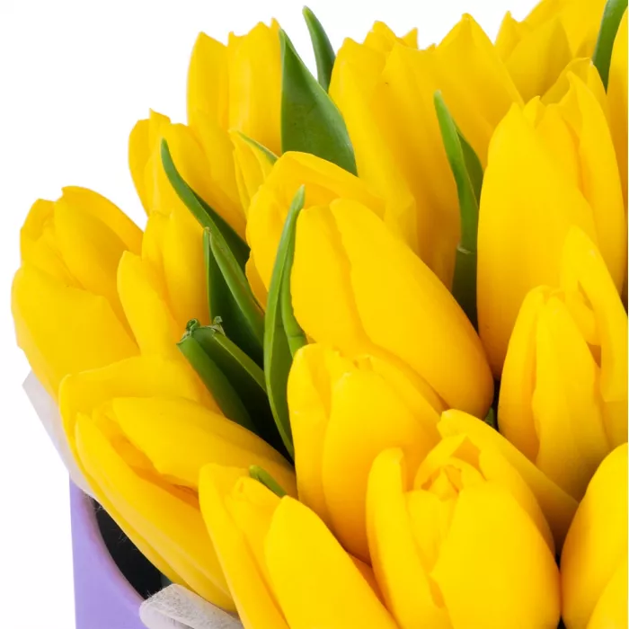 35 желтых тюльпан в фиолетовой шляпной коробке