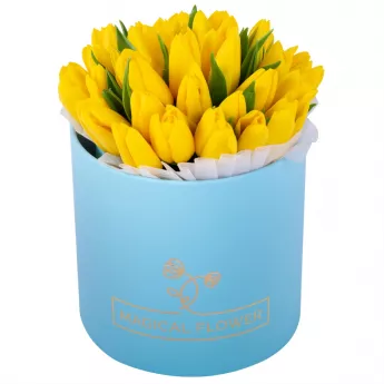 35 желтых тюльпан в голубой шляпной коробке