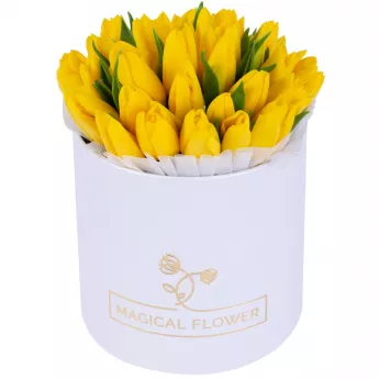 35 желтых тюльпан в белой шляпной коробке