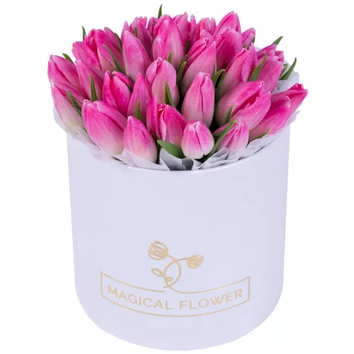 35 розовых тюльпан в белой шляпной коробке