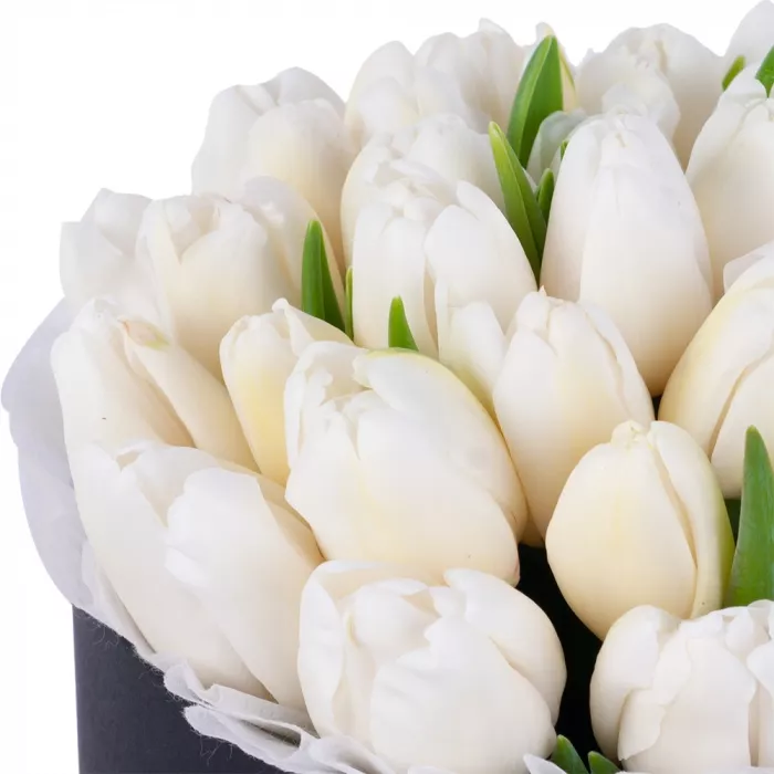 35 белых тюльпан в черной шляпной коробке