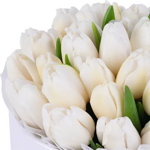35 белых тюльпан в белой шляпной коробке