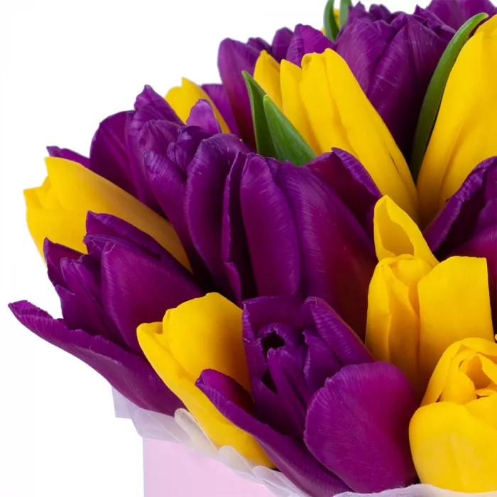 35 разноцветных тюльпан в розовой шляпной коробке