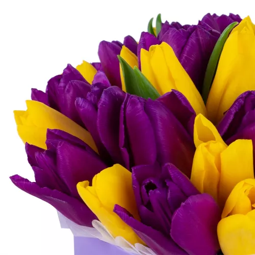 35 разноцветных тюльпан в фиолетовой шляпной коробке