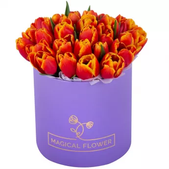 35 огненных тюльпан в фиолетовой шляпной коробке