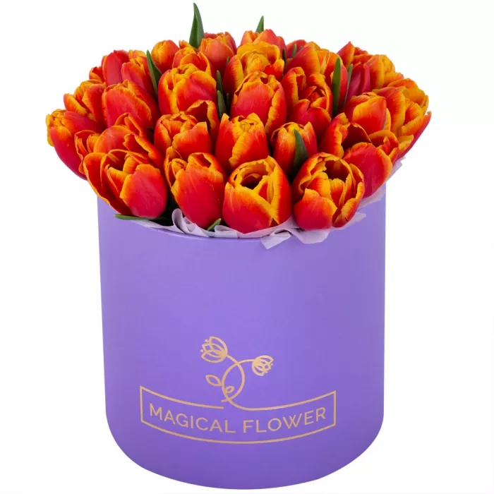 35 огненных тюльпан в фиолетовой шляпной коробке