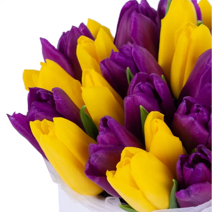 35 разноцветных тюльпан в белой шляпной коробке