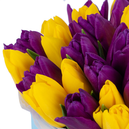 35 разноцветных тюльпан в коробке