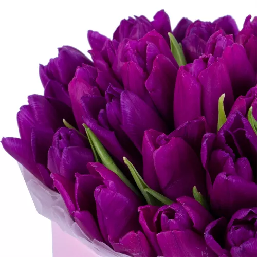 35 фиолетовых тюльпан в розовой шляпной коробке