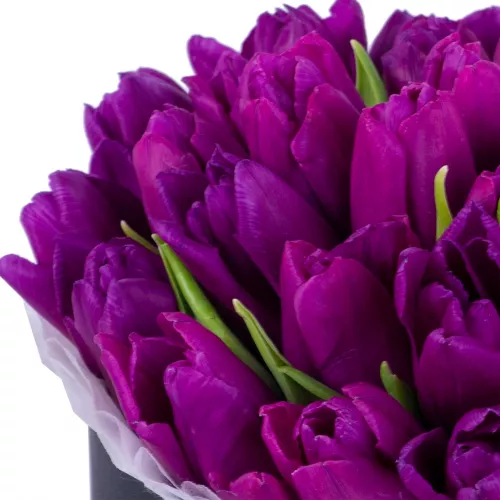 35 фиолетовых тюльпан в черной шляпной коробке