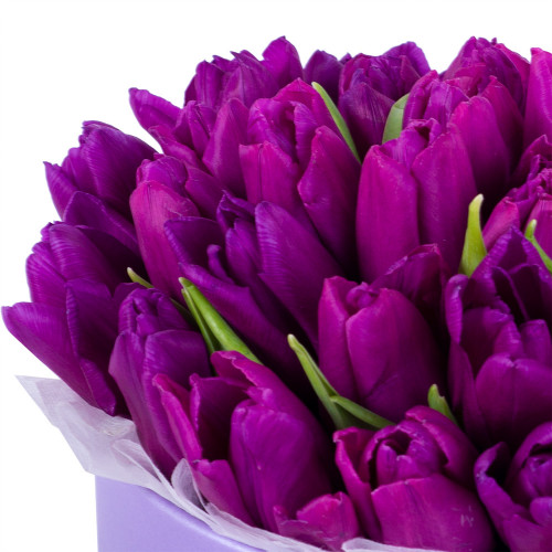 35 фиолетовых тюльпан в фиолетовой шляпной коробке