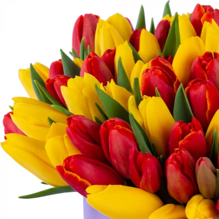 Букет из 101 разноцветного тюльпана в фиолетовой шляпной коробке