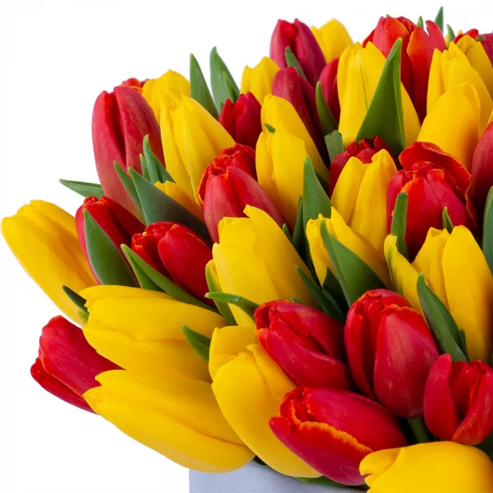 Букет из 101 разноцветного тюльпана в серой бархатной шляпной коробке