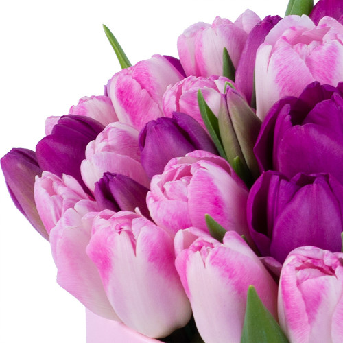 Букет из 51 тюльпана разных цветов в розовой шляпной коробке