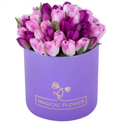 Разноцветный 51 тюльпан в фиолетовой шляпной коробке