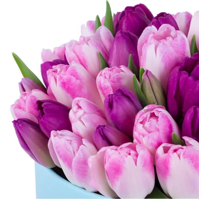 Разноцветный 51 тюльпан в голубой шляпной коробке