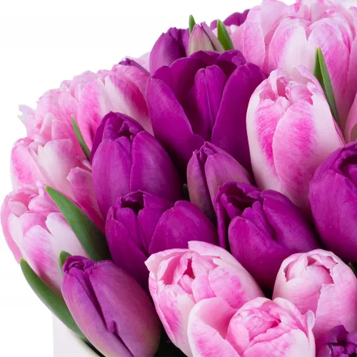 Букет из 51 тюльпана разных цветов в шляпной кремовой коробке