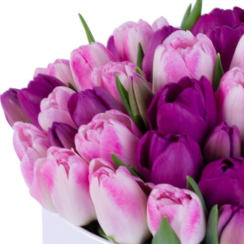 Букет из 51 тюльпана разных цветов в белой шляпной коробке