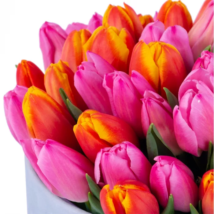 Букет микс из 51 тюльпана в серой бархатной шляпной коробке