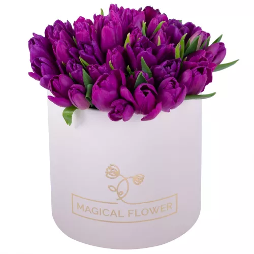 51 фиолетовый тюльпан в кремовой шляпной коробке