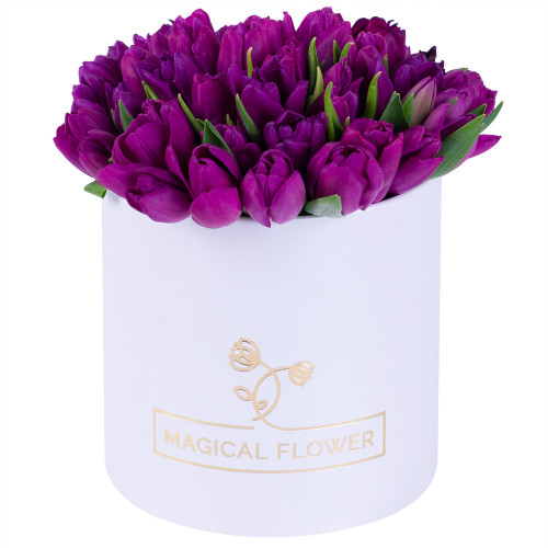 51 фиолетовый тюльпан в белой шляпной коробке