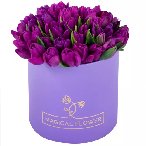51 фиолетовый тюльпан в фиолетовой шляпной коробке