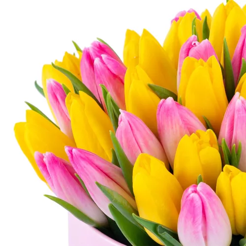 51 разноцветных тюльпан в розовой шляпной коробке