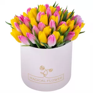 51 разноцветных тюльпан в кремовой шляпной коробке