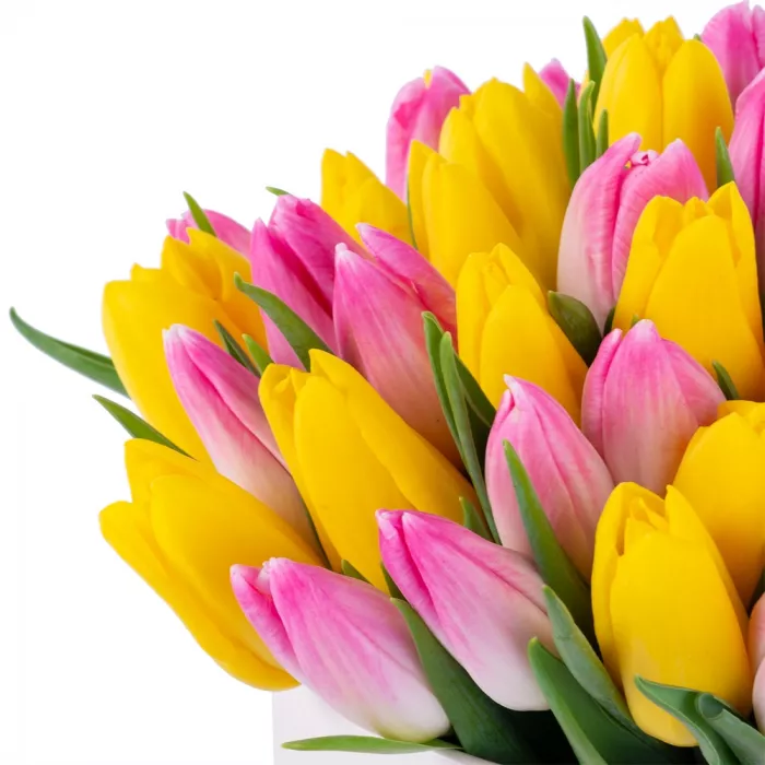 51 разноцветных тюльпан в кремовой шляпной коробке