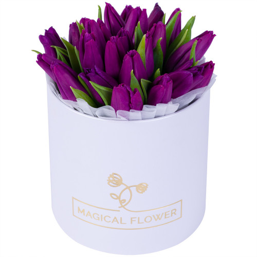 25 фиолетовых тюльпан в белой шляпной коробке