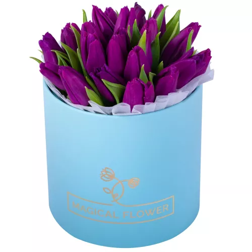 25 фиолетовых тюльпан в коробке