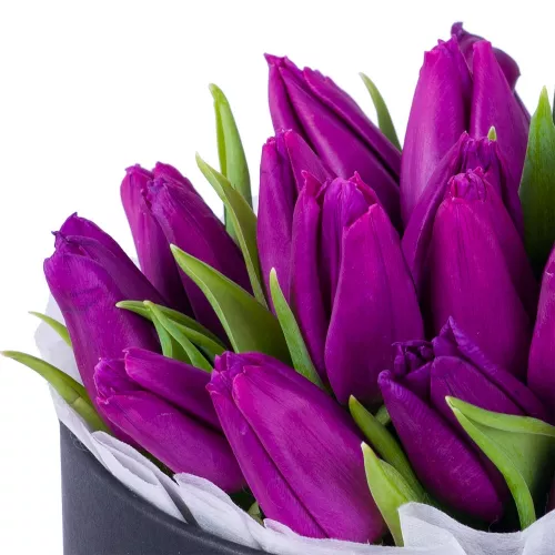 25 фиолетовых тюльпан в черной шляпной коробке