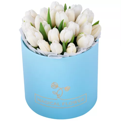 25 белых тюльпан в коробке