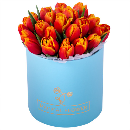25 огненных тюльпан в коробке
