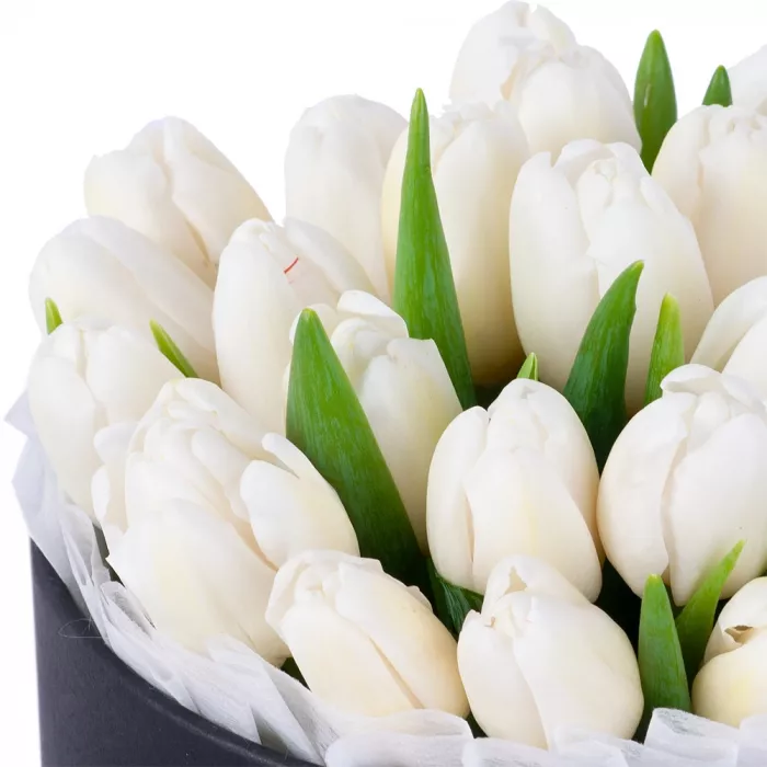 25 белых тюльпан в черной шляпной коробке