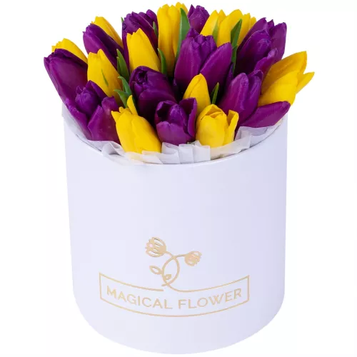 25 разноцветных тюльпан в белой шляпной коробке