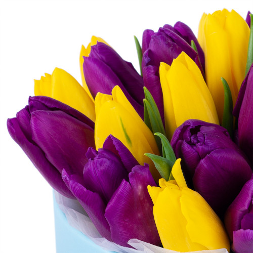 25 разноцветных тюльпан в коробке