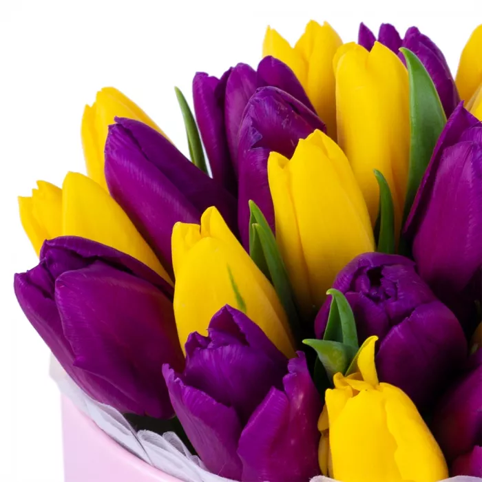 25 разноцветных тюльпан в розовой шляпной коробке