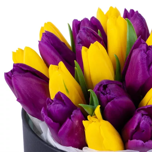 25 разноцветных тюльпан в черной шляпной коробке