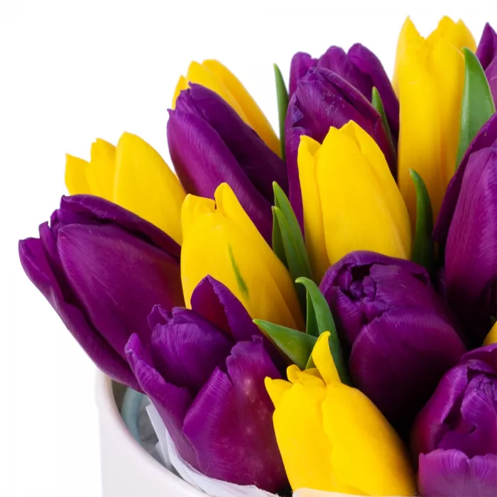 25 разноцветных тюльпан в кремовой шляпной коробке