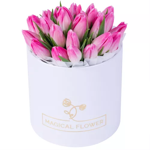 25 бело-розовых тюльпан в белой шляпной коробке