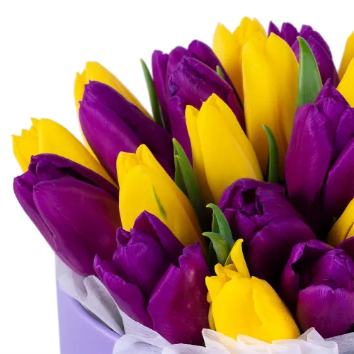 25 разноцветных тюльпан в фиолетовой шляпной коробке