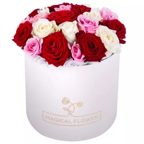 Букет из 21 разноцветной розы premium в кремовой шляпной коробке
