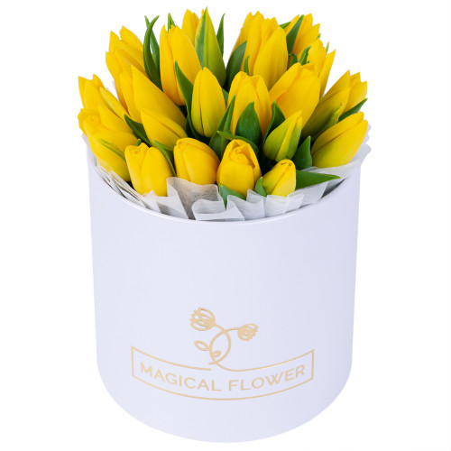 Весенний букет из 25 желтых тюльпанов в белой шляпной коробке