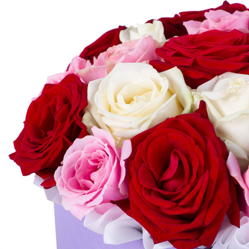 Букет из 21 разноцветной розы premium в фиолетовой шляпной коробке